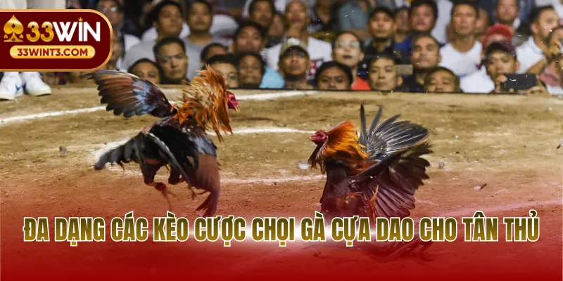 Đá Gà Cựa Dao - Đấu Trường Sinh Tử Đỉnh Cao 2026 3 Đa dạng các kèo cược chọi gà cựa dao cho tân thủ